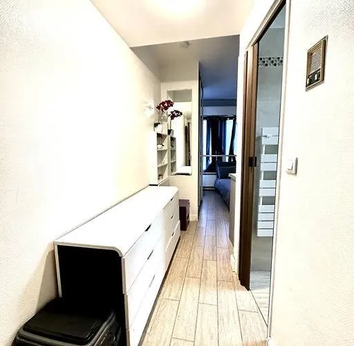 Charmant Studio Beaugrenelle